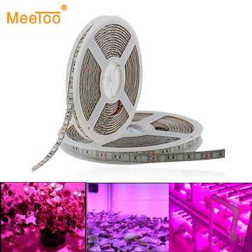 5m LED Grow Lights 5050 LED Strip tape DC12V Red Blue 3:1 4:1 5:1 60leds/m for Flower seeds indoor Greenhouse Hydroponic Plant