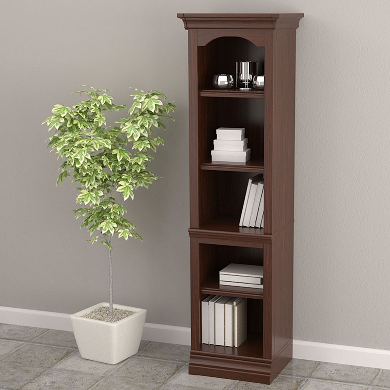 Bookcase Display Shelf