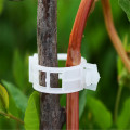 50 pcs Tomato Garden Plant Support Clips garden ornaments for Trellis Twine Greenhouse Tomato Plant Grafting Clips Supplies