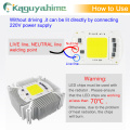 Kaguyahime AC 220V Integrated COB LED Lamp Chip 50W 30W 20W 10W 5W Smart IC Driver For DIY Floodlight Spotlight Projector Grow