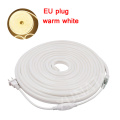 Warm White EU Plug