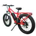 internal fully madmod electric bicycle