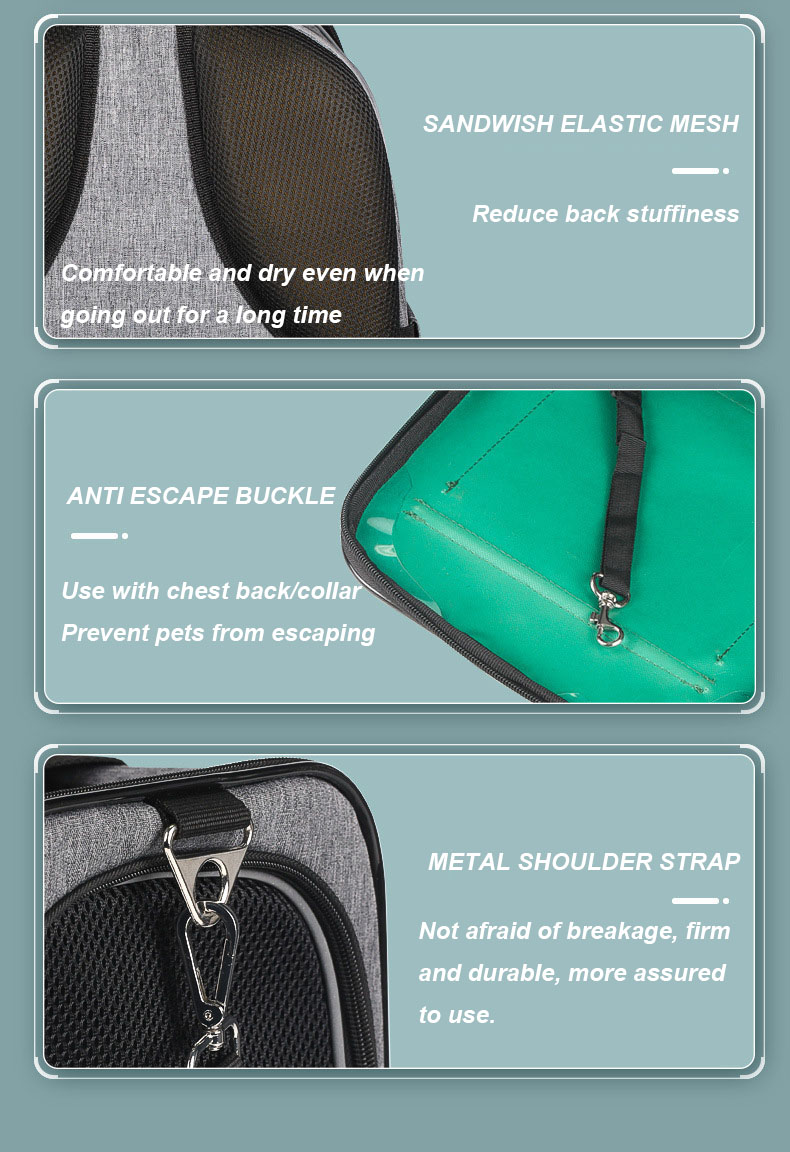 Pet Travel Carrier