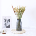 10/30PCS Natural Dried Flowers Small Pampas Grass Phragmites Natural Wheat Wedding Home Decoration Real Plant