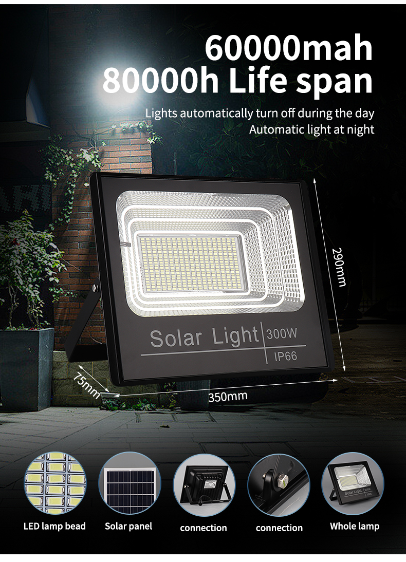 Solar Flood Light