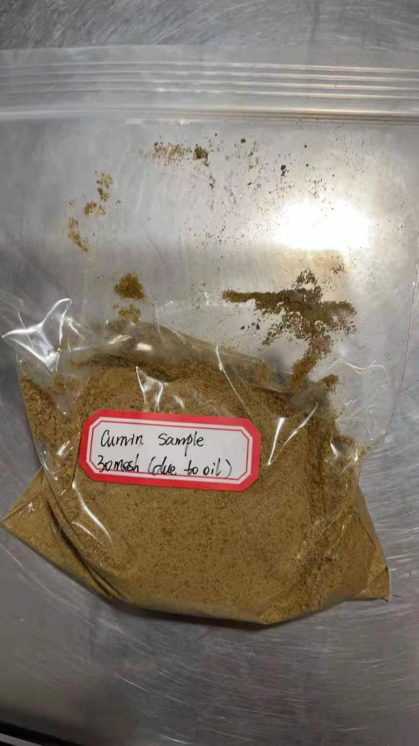 Cumin Sample 30mesh Jpg