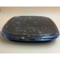 Disposable plastic large sushi box