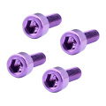 4 Pieces Bicycle Titanium Alloy Water Bottle Cage Screw Bolt with Washers Bicycle Water Bottle Cage Hex Bolts