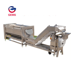 Fish Scaler Machine Fish Scaling Fish Polisher Machine