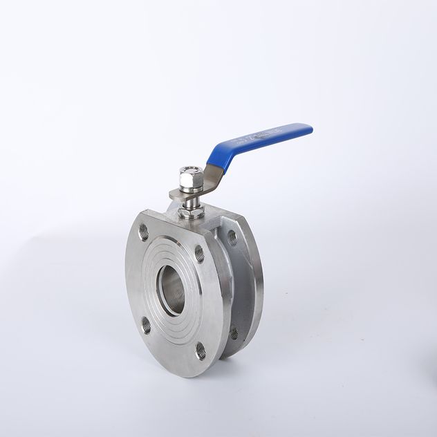 Wafer Check Valve-1 (3)