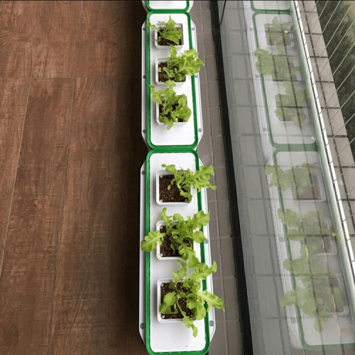 lndoor Automatic hydroponics for plant Manufacturers and lndoor Automatic hydroponics for plant Suppliers