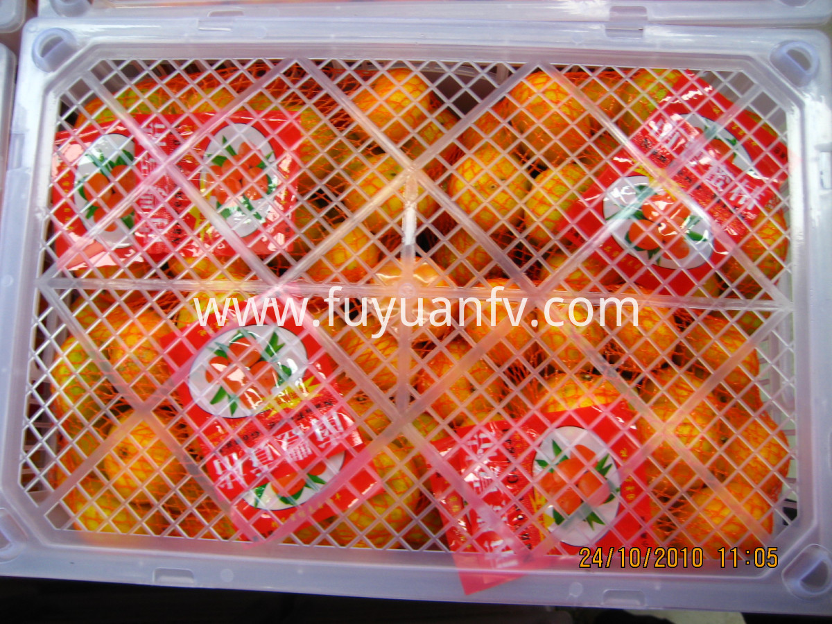 1kg*9bags baby mandarin 1kg*9bags baby mandarin