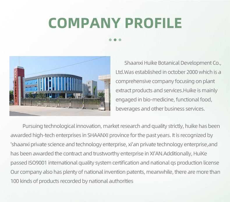 Company profile