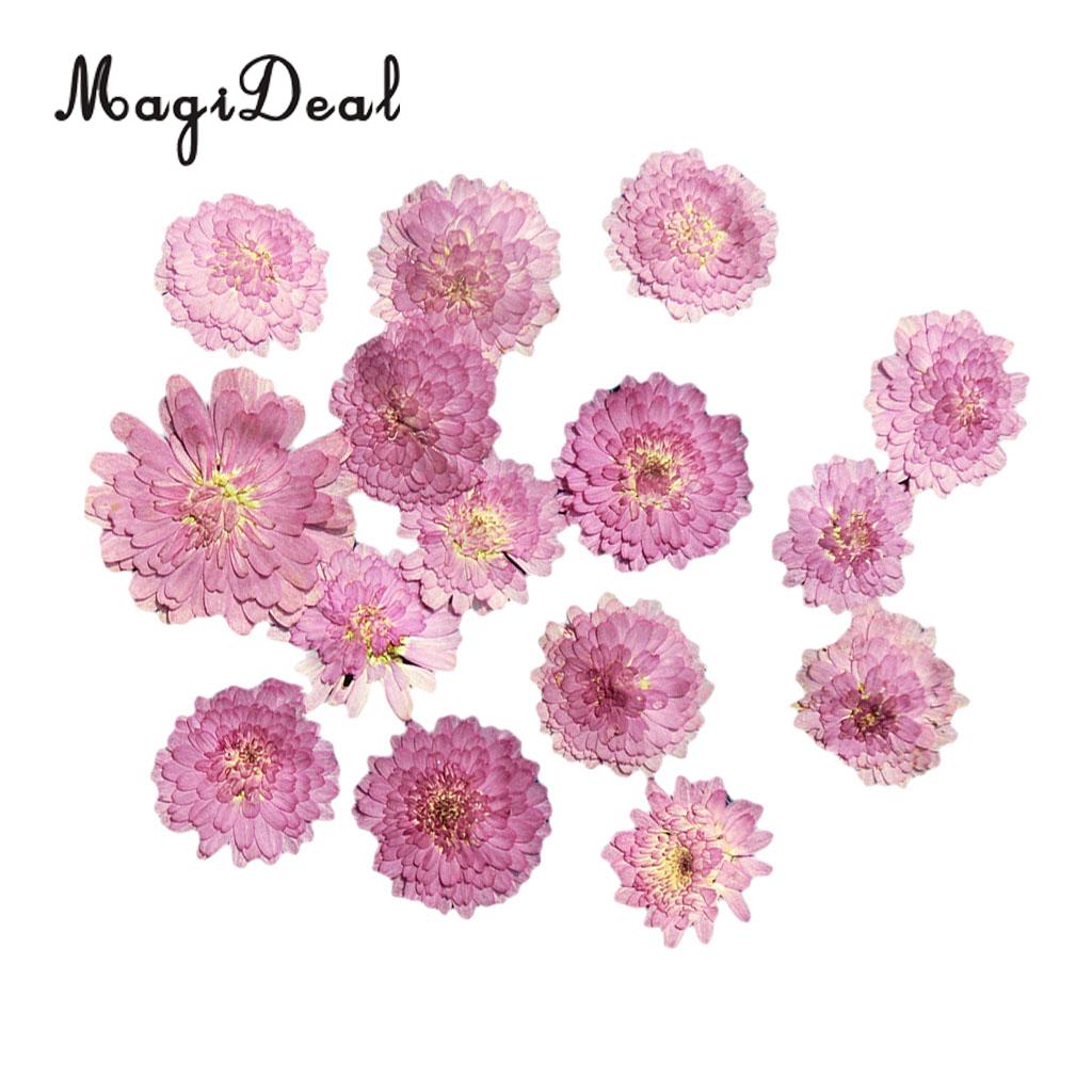 MagiDeal 20Pcs Pressed Dried Flower Dry Leaves For DIY Crafts Bookmark Cards Making
