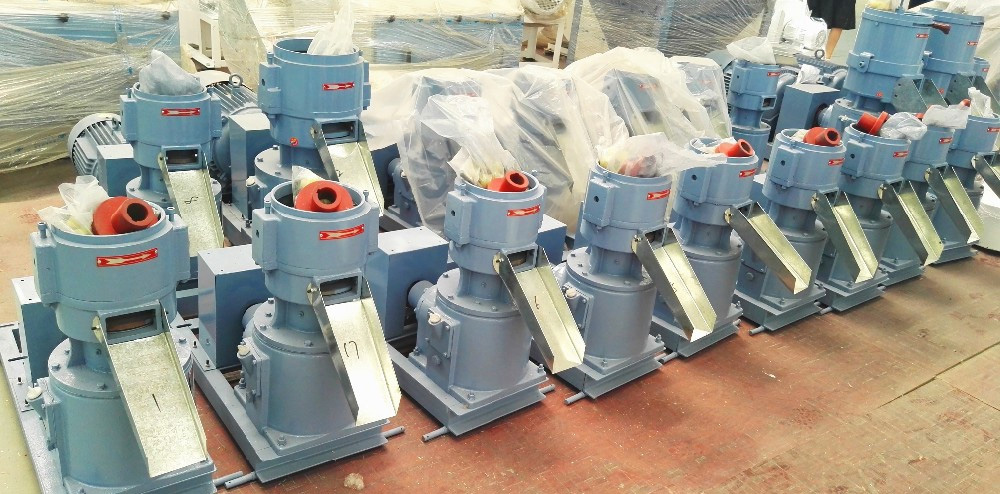 small feed plant 06