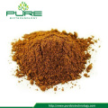 Best Price Natural Organic Sea buckthorn Fruit Powder