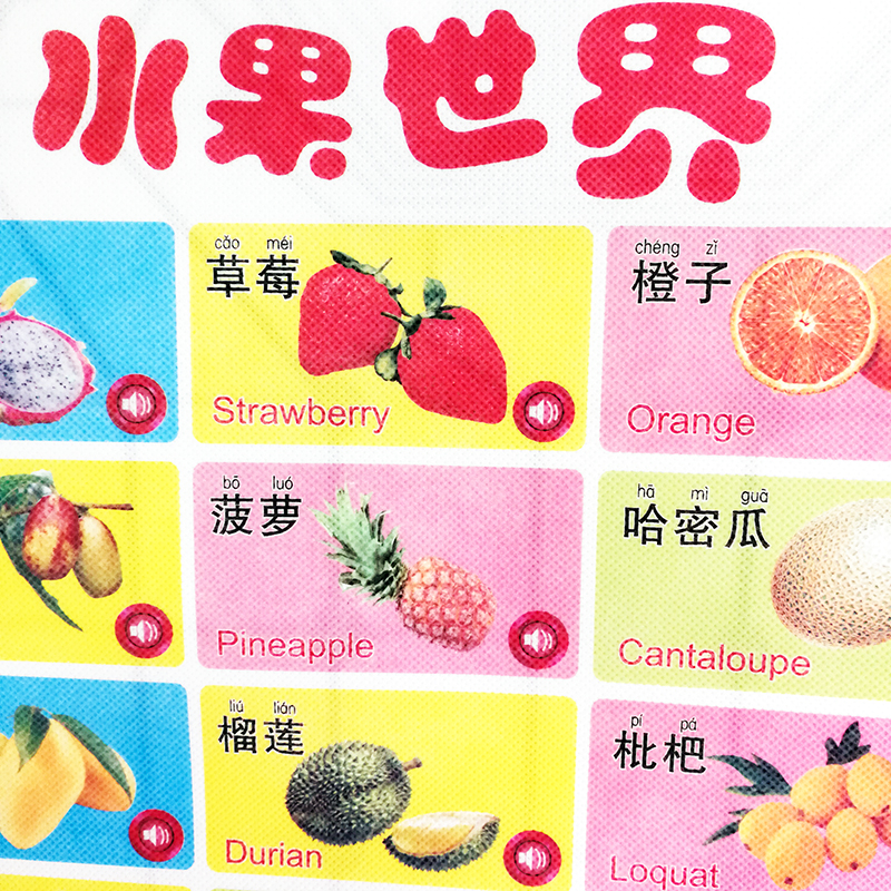 Electronic Learning Bilingual Chart Vegetables& Fruits(Double Sided) English&Chinese Early Education Wall Poster 16.5x22In