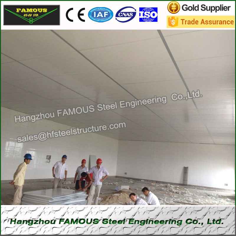 EPS Foam Sandwich Panel for Roofing and Wall of Structural Steel Building