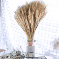 100Pcs Wheat Ear Flower Natural Dried Flowers for Wedding Party Decoration DIY Craft Scrapbook Home Decor Wheat Bouquet JP02