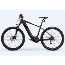 Customized Electric Bike 48v Battery