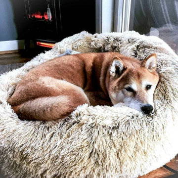 Dropship Faux Fur Dog Beds Orthopedic Donut Cat Pet Bed for Dropship Cama Perro Dogs - Self Warming Indoor Round Pillow Cuddler