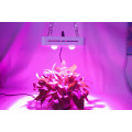 LED Grow lights Walmart 300w