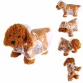 Dog Clothes transparent raincoat light clothes waterproof beautiful small dog raincoat with hood