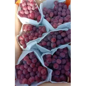 Fresh Red Grape Selection for Premium Quality