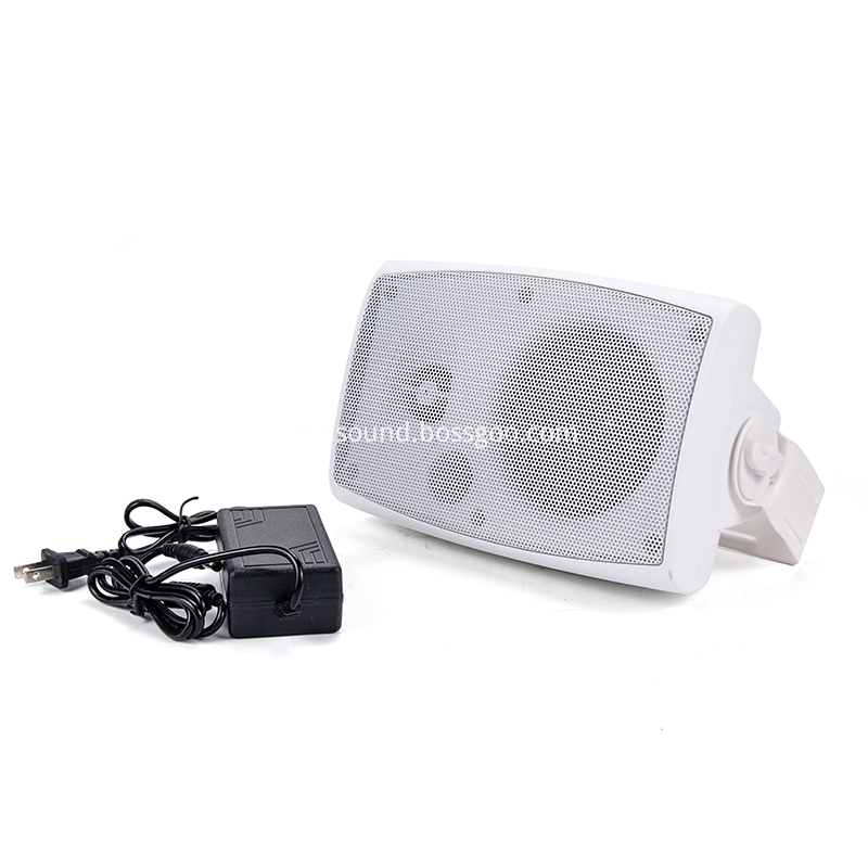 Bluetooth Wall Speaker