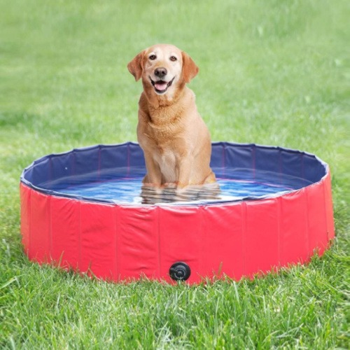 PVC Pet Swimming Pool Portable Foldable Pool for Sale, Offer PVC Pet Swimming Pool Portable Foldable Pool