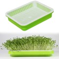 Hydroponics Seed Germination Tray Seedling Sprout Plate Grow Nursery Pots Vegetable Seedling Pot Plastic Nursery Tray