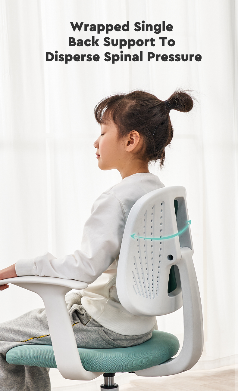 ergonomic office chair lumbar suppor