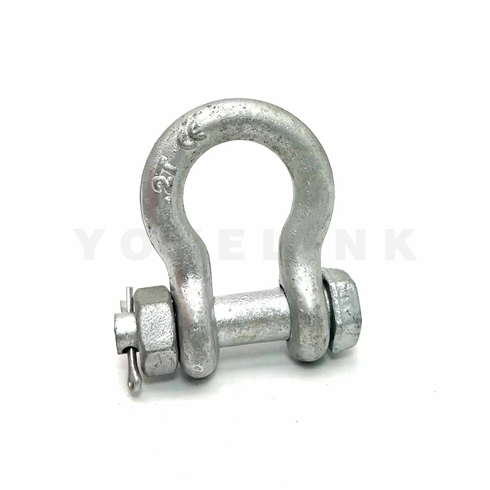 Anchor Shackle  (3)