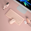 Pink with Mouse