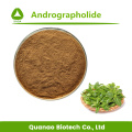 Andrographis Paniculata Extract Andrographolide 10% Powder