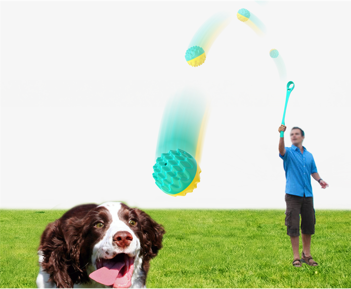 Throw Ball Dog Toy