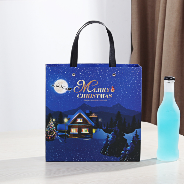 Gift Bag For Chocolate