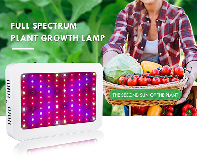 Indoor Plant Veg&Flower 600w LED Grow Light
