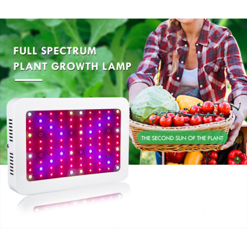 Indoor Plant Veg&Flower 600w LED Grow Light