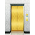 Elevator Titanium Etched SS Landing Door