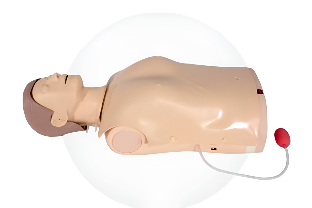 Half Body CPR Training Manikin–Light Indication