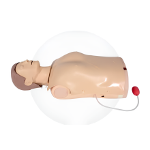 Half Body CPR Training Manikin–Light Indication