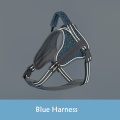 Blue Harness
