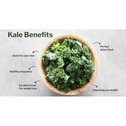 Chinese Kale Extract Green Solution Kale Extract Powder for Sale, Offer Chinese Kale Extract Green Solution Kale Extract Powder