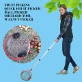 Walnuts Chestnuts Harvester Roller Nut Collector Retractable Aluminum Alloy Ball Garden Fruit Picker Family Orchards Tool