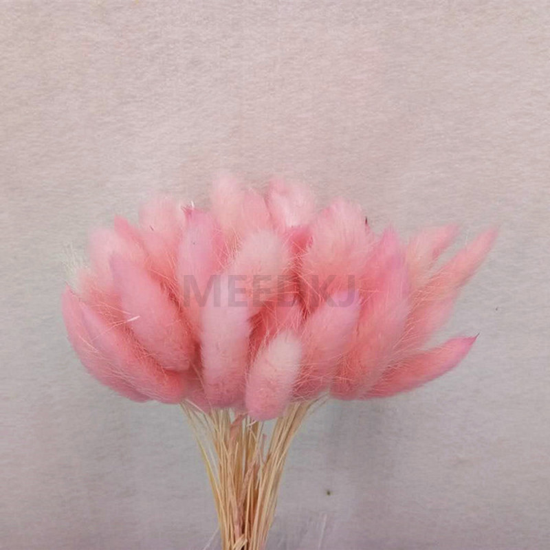 30pcs Garden Rabbit Tail Grass Preserved Fresh Flower Natural Dried Flowers Bouquet Wedding Home Decoration