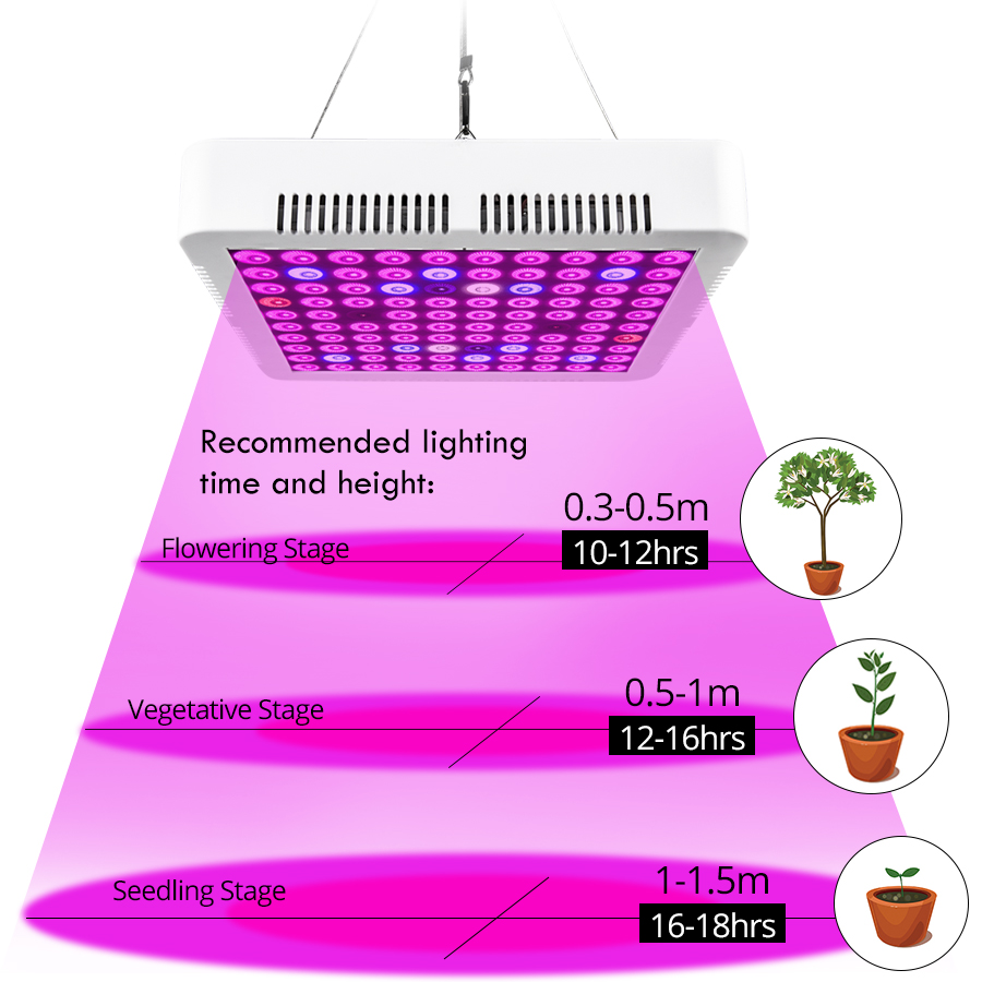 300W Full Spectrum LED phyto lamp Grow Lights 110V 220V 100 LEDs Diode Growing Lamps For Plants Veg Hydroponics Greenhouse Tent