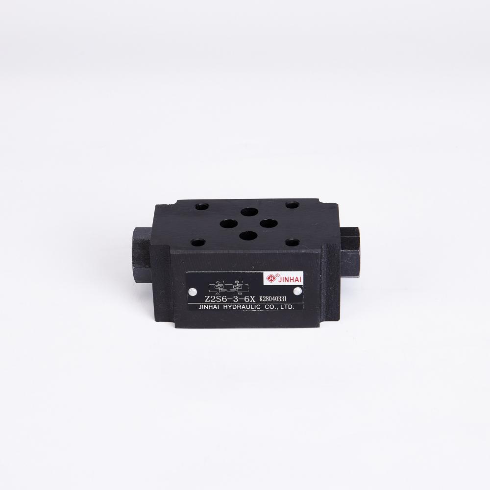 Z2s6 Check Valve 1
