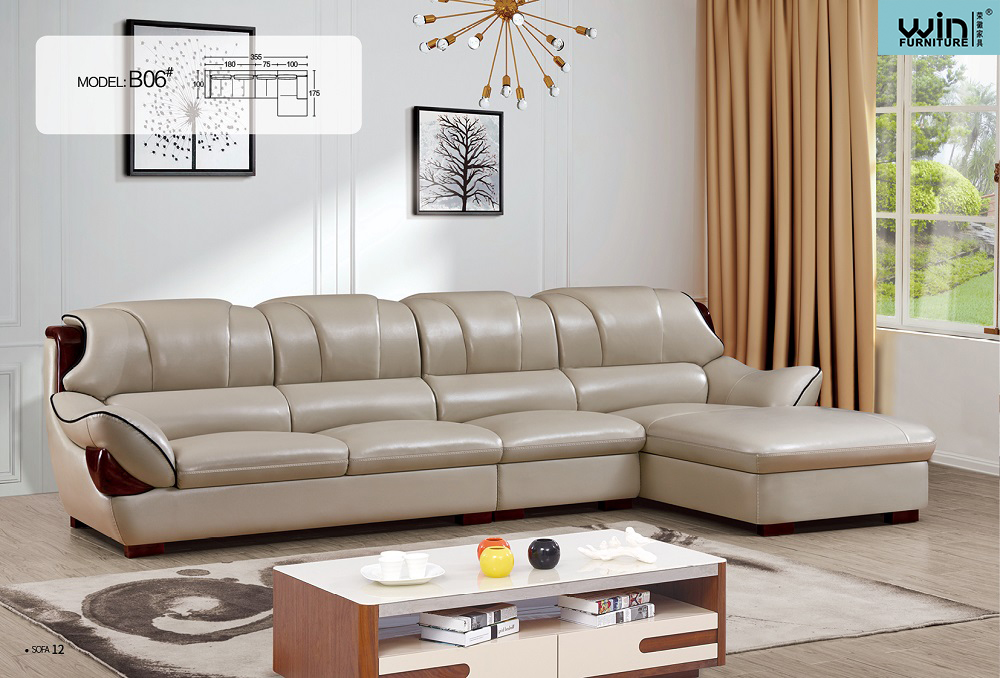 Living Room  Sofa