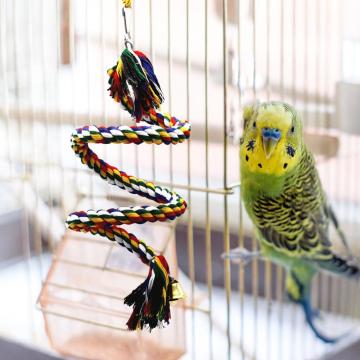 Pet Bird Bite Toys Parrot Color Cotton Rope Toys Elastic Parrot Climbing Toys Sturdy Bird Swing Harness Size S,M,L,XL